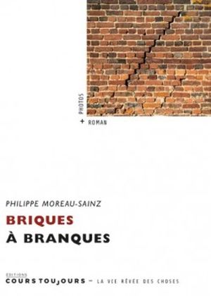 Briques à branques