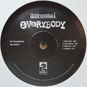 Everybody (radio mix)