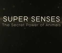 image-https://media.senscritique.com/media/000016944983/0/super_senses_the_secret_power_of_animals.jpg