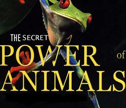 image-https://media.senscritique.com/media/000016944984/0/super_senses_the_secret_power_of_animals.jpg