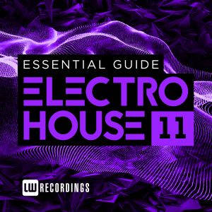 Essential Guide: Electro House 11