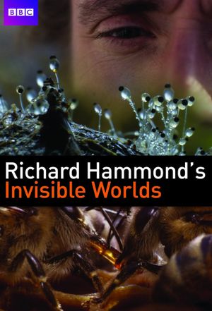 Les mondes invisibles de Richard Hammond