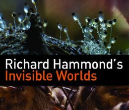 image-https://media.senscritique.com/media/000016955467/0/les_mondes_invisibles_de_richard_hammond.jpg