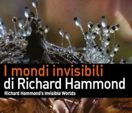 image-https://media.senscritique.com/media/000016955469/0/les_mondes_invisibles_de_richard_hammond.jpg