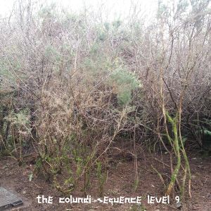 The Colundi Sequence Level 9