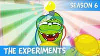 The Experiments