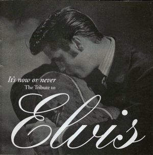 It’s Now or Never: The Tribute to Elvis