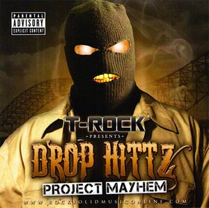 Project Mayhem