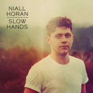 Slow Hands (Single)