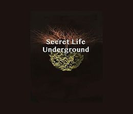 image-https://media.senscritique.com/media/000016971820/0/secret_life_underground.jpg