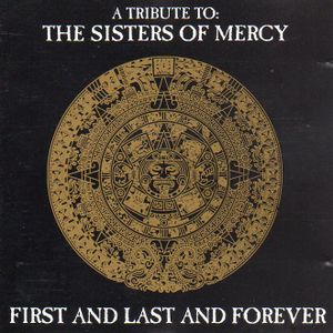 A Tribute to the Sisters of Mercy: First and Last and Forever