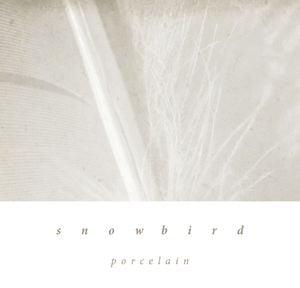 Porcelain (Single)