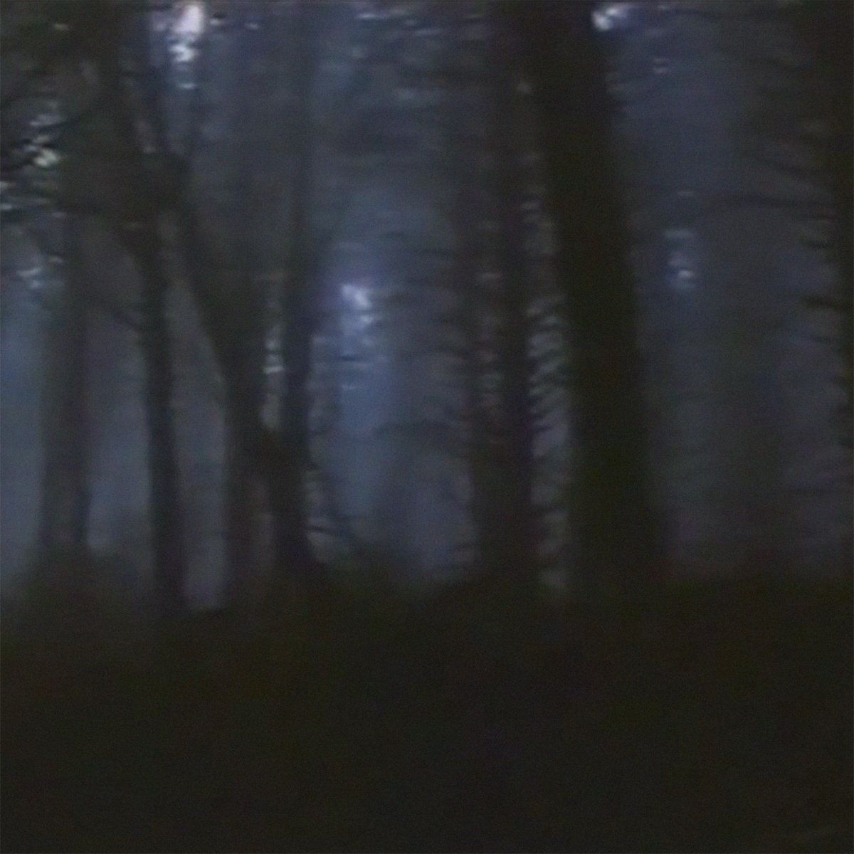 The Dark Forest 最も暗い夜 Kurai Shizen Senscritique