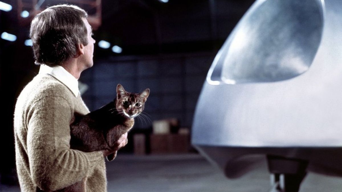 Le Chat Qui Vient De L Espace Film 1978 Senscritique