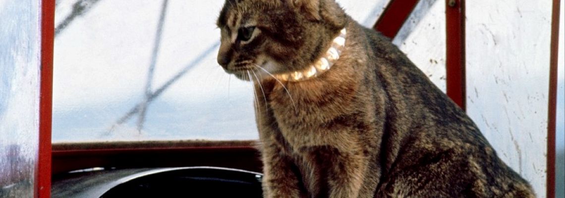 Cover Le Chat qui vient de l'espace