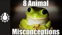 8 Animal Misconceptions Rundown