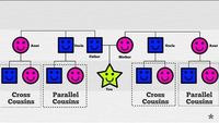 Parallel and Cross Cousins Explained