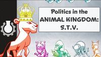 Politics in the Animal Kingdom: Single Transferable Vote