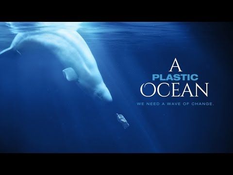 Bande-annonce de A Plastic Ocean