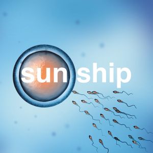 The Sun Ship (Single)