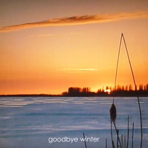 goodbye winter