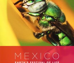 image-https://media.senscritique.com/media/000017005116/0/mexico_earth_s_festival_of_life.jpg