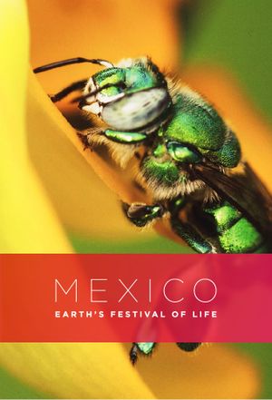 Mexico: Earth's Festival of Life