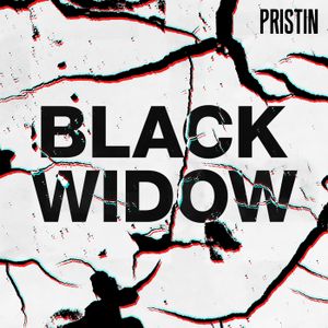 Black Widow (remix ver.)