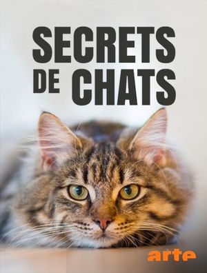 Secrets de chats