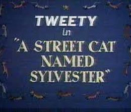 image-https://media.senscritique.com/media/000017037704/0/comme_chien_et_chat_et_titi.jpg