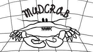 Mud crab