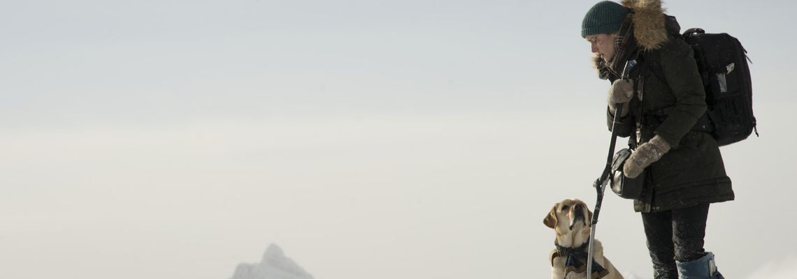 Cover La Montagne entre nous