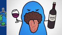 Why Does Wine Make Your Mouth Feel Dry?