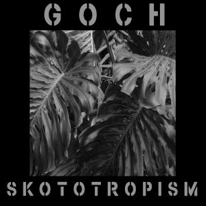 Skototropism (EP)