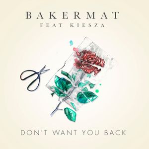 Don't Want You Back (Single)