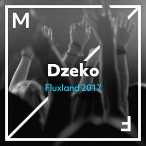 Fluxland 2017 (Single)