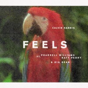 Feels (Single)