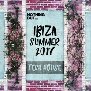 Ibiza Summer 2017: Tech House