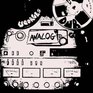 Analog 8