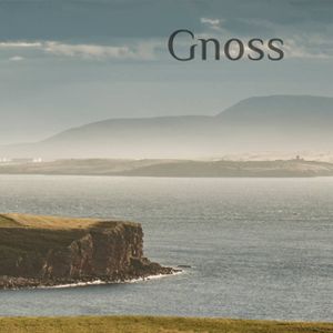 Gnoss