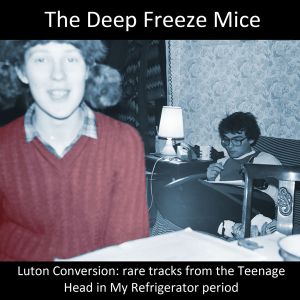 Luton Conversion: Rare Tracks From the Teenage Head in My Refrigerator Period