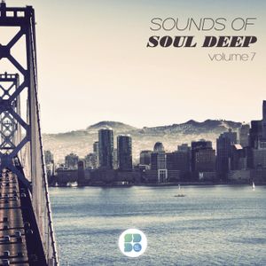 Sounds of Soul Deep, Volume 7