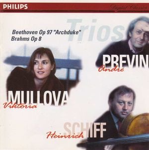 Piano Trio in B, Op. 8: I. Allegro con brio