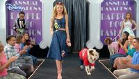 Dog on a Catwalk