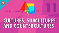Cultures, Subcultures, and Countercultures