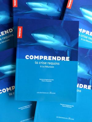 Comprendre la crise requins à La Réunion