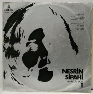 Nesrin Sipahi ve İki Dünyasi 1