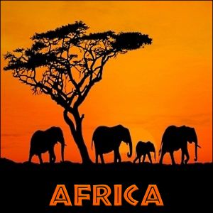 Deep in the Congo