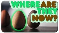 Zen Egg - Where are they NOW?