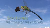 Sky Hunters: The World Of The Dragonfly